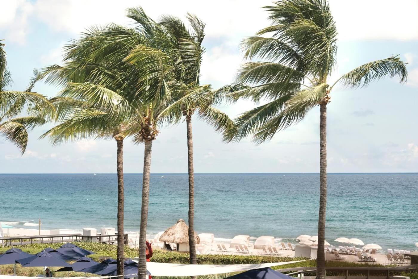 Beach Club At The بوكا راتون المظهر الخارجي الصورة